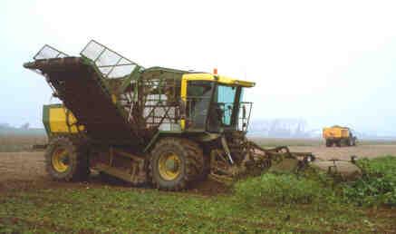 Sugar Beet Harvestor